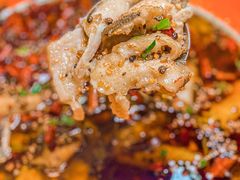-向外鱼乐·土菜·虹鳟鱼