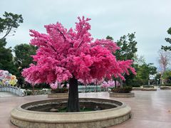 -厦门方特梦幻王国