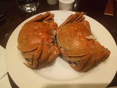 -惠州康帝国际酒店