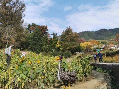 -塔川景区