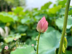 -厦门园林博览苑