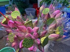 -循礼门鲜花花市(武汉循礼门店)