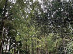 -苏州河梦清园环保主题公园