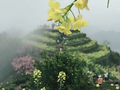 -石潭村