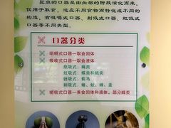 -上海昆虫博物馆