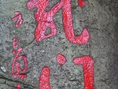 -大明山自然探索公园