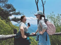 -王顺山国家森林公园