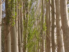 -党河风情线国家水利风景区