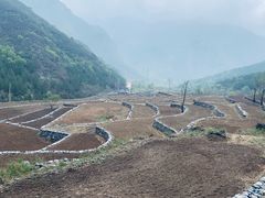 -北京上方山国家森林公园