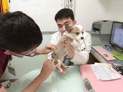 -宠福鑫康馨动物医院·骨科·眼科