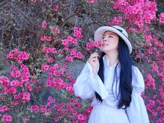 -木兰云雾山