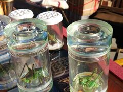 -中环花鸟鱼虫市场