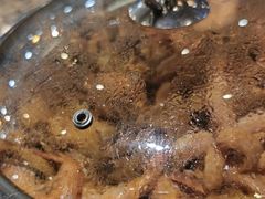 -黄记煌三汁焖锅(新世纪广场店)