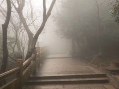 -普陀山风景区-佛顶山