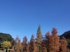 -广州市石门国家森林公园