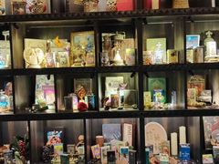 -雪灵魔法世界SHELLY’S TAROT(大良桂畔里店)