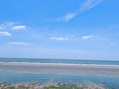 -日照海滨国家森林公园