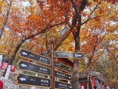 -红螺寺