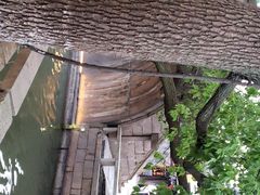 -观桥阁(锦溪店)