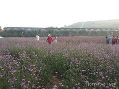 -龙口南山旅游景区