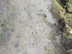 -北海金海湾红树林生态旅游区