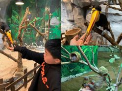 -Zoolung Zoolung动物主题公园(海信广场店)