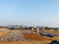 -尼甘布海鲜市场