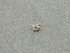 -南澳海滩