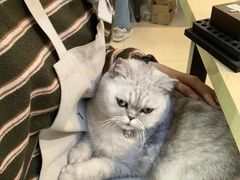 -Oasis绿洲银饰珍珠手作diy(壹方城店)