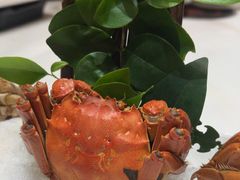 -同庆楼(滨湖富茂店)