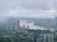 -南山植物园