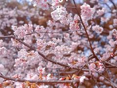 -静安雕塑公园