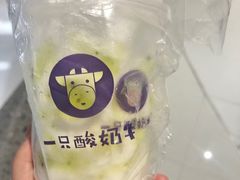 -一只酸奶牛(摩根吾悦广场店)