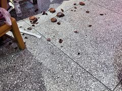 -巴人堂(女儿城店)