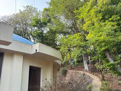 -合肥野生动物园