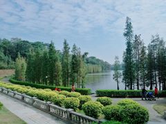 -三水森林公园
