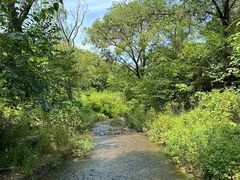 -白水寺森林公园