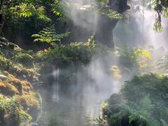 -Chom Cafe and Restaurant