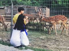 -北京山里寒舍度假酒店