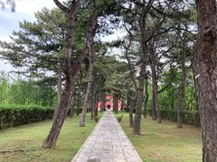 -磬锤峰森林公园