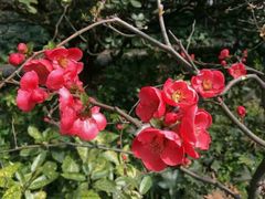 -御花园·粤菜·海鲜火锅(中山公园店)