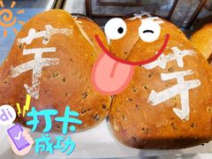 -多乐之日(西苑龙湖店)