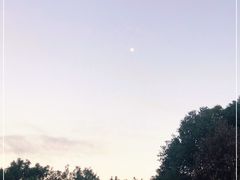 -广州百花山庄度假村(增城万达广场店)
