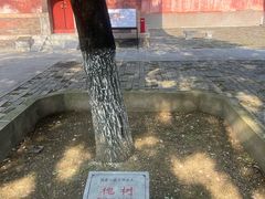 -龙王庙行宫