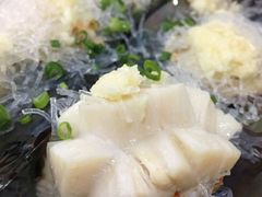 蒸特大带子-蚝专家(北滘店)