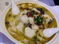 -鱼你在一起(新森兰花园城店)