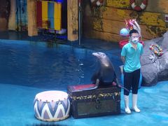 -烟台海昌鲸鲨海洋公园