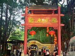 -侨美·唐荔园·40年地道粤菜