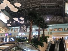-1981牛排西餐厅(海信店)