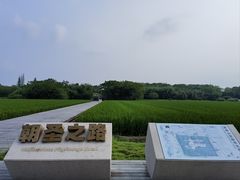 -良渚古城遗址公园